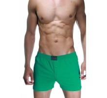 Чоловічі сімейні труси Doreanse Cotton Basic арт. 1511-81 [Зелений]