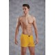 Мужские семейные трусы Doreanse Cotton Basic арт. 1511-08 