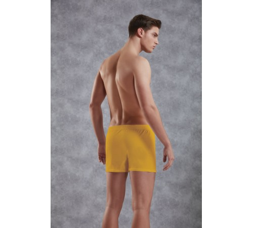 Мужские семейные трусы Doreanse Cotton Basic арт. 1511-08 