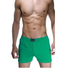 Чоловічі сімейні труси Doreanse Cotton Basic арт. 1511-81 [Зелений]