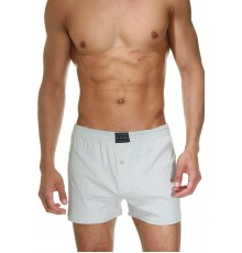 Мужские семейные трусы Doreanse Cotton Basic арт. 1511-03 [Серый]